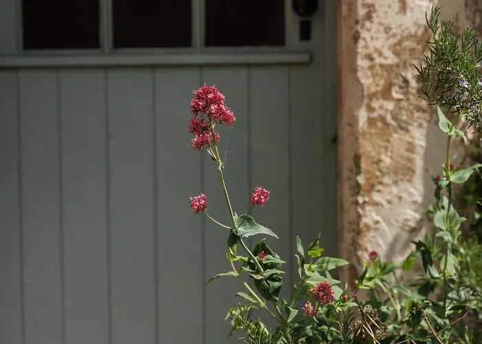 The Governor'S House At The Tanyard, Boutique B&B